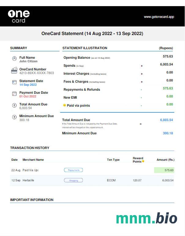 USA 1one card statement szablon Worda i PDF